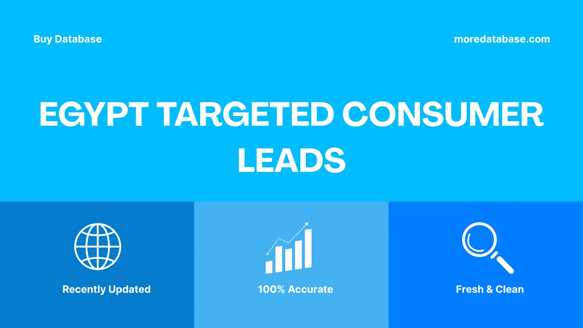 Egypt Targeted Consumer Leads